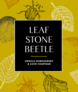 Leaf Stone Beetle image